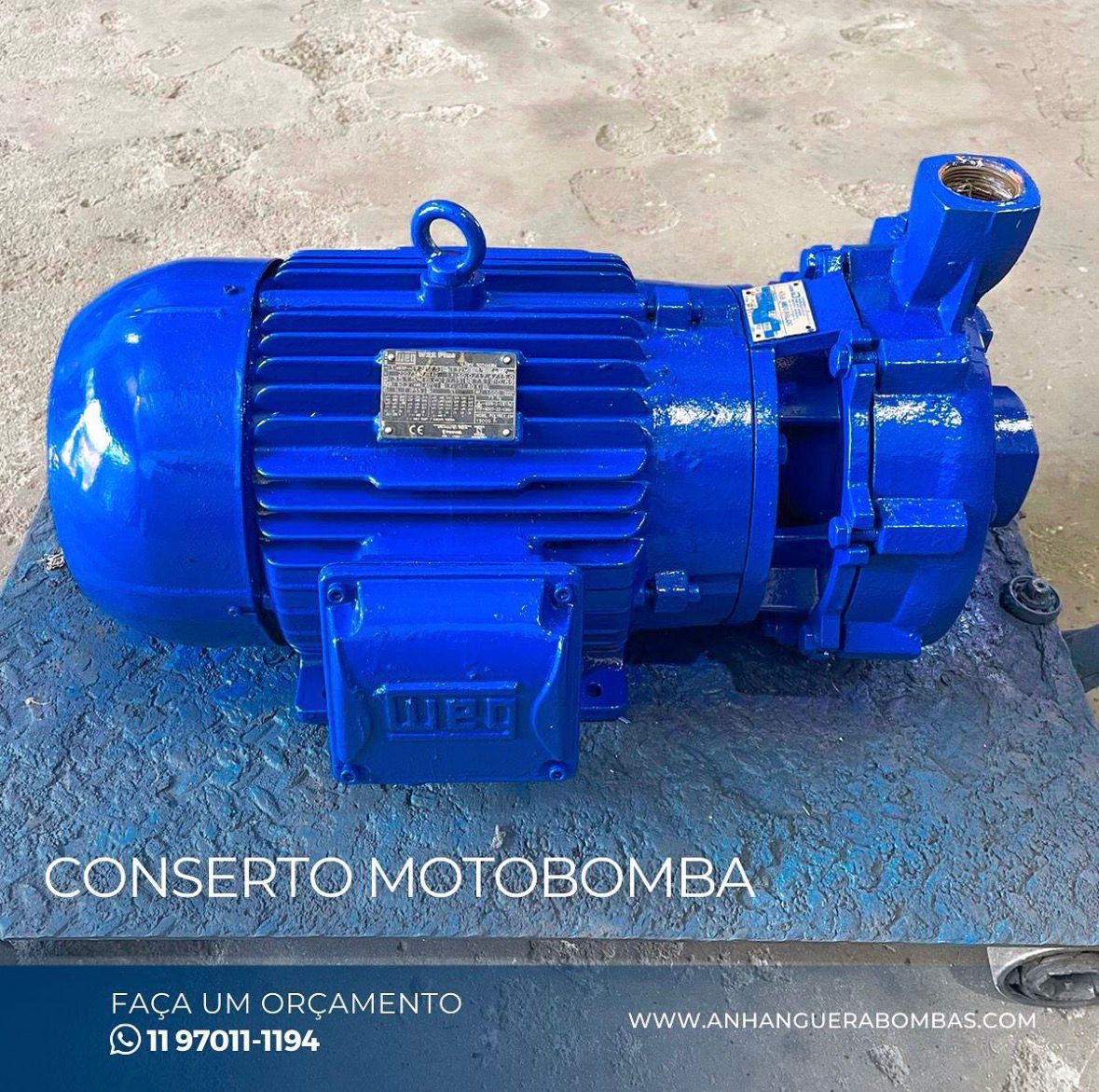 WhatsApp Image 2026-02-25 at 17.03.53.jpeg